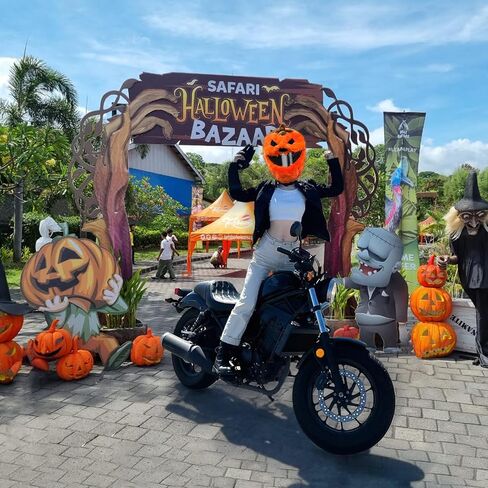 Extra Large Halloween Pumpkin Motorcycle Helmet Cover Light Up Hat Decoration 18.78 x 15.8,Pumpkin Helmet Cover,Halloween Hat with Light Decoration Accessories for Men Women,Fun Rides Gifts in Saudi Arabia