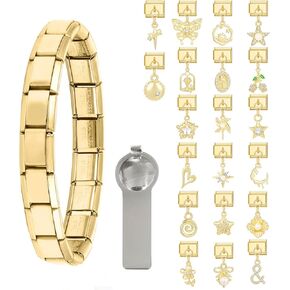 papasgix Italian Charm Bracelet Gold Silver Set with Starter Brascelet, Assorted Charms and Opening Tools, 9mm Modular Italian Charm Bracelet Links Handmade DIY Jewelry Gifts Pendant(Gold Gold)