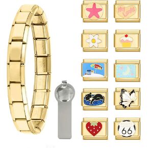 papasgix Italian Charm Bracelet Gold Set with Starter Brascelet, Assorted Nomination Charms and Opening Tools, 9mm Modular Italian Charm Bracelet Links Handmade DIY Jewelry