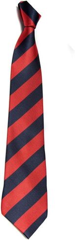 ربطات عنق مخططة أنيقة للرجال من New College Tie ملابس برقبة مطبوعة ملونة in Saudi Arabia