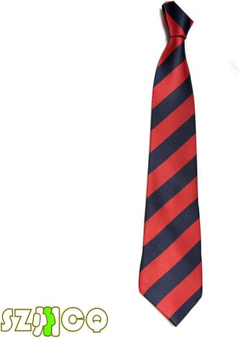 ربطات عنق مخططة أنيقة للرجال من New College Tie ملابس برقبة مطبوعة ملونة in Saudi Arabia