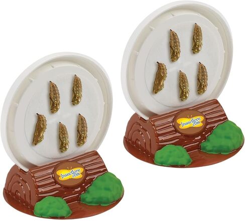 Insect Lore Cup of Live Baby Caterpillars with Figurines | Butterfly Kit Refill - Plus Butterfly Life Cycle Stages Toy Figurines | 5 Painted Lady Caterpillars Shipped Now in Kuwait