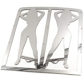 HTTMT MT298-06 Radiator Grille Guard Cover Protector Sexy Compatible with Banshee Grill 1986-2007