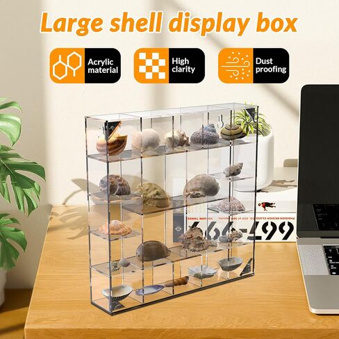 Seashell Display Box Large (20 Grids), Acrylic Magnetic Display Box, Clear Shell Case for Collectibles, Rock Collection Box, Figure Display Case, Wall and Desktop, Gifts for Friends and Family in Saudi Arabia
