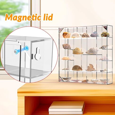 Seashell Display Box Large (20 Grids), Acrylic Magnetic Display Box, Clear Shell Case for Collectibles, Rock Collection Box, Figure Display Case, Wall and Desktop, Gifts for Friends and Family in Saudi Arabia