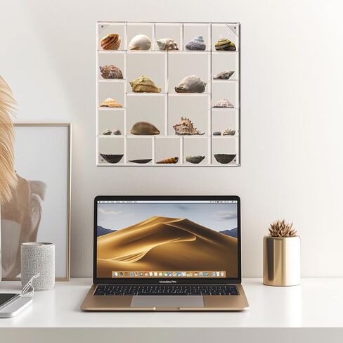 Seashell Display Box Large (20 Grids), Acrylic Magnetic Display Box, Clear Shell Case for Collectibles, Rock Collection Box, Figure Display Case, Wall and Desktop, Gifts for Friends and Family in Saudi Arabia