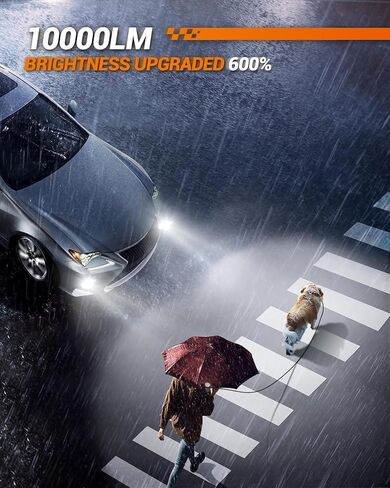 SEALIGHT 9006 Led Fog Lights Bulbs, 2024 Newest 9006 HB4 Fog Bulbs Led Bulb 10000 LM 6500K White Strong Penetration, 7035 CSP Chips Fog Light Led for Car, Plug & Play, Pack of 2 in Saudi Arabia
