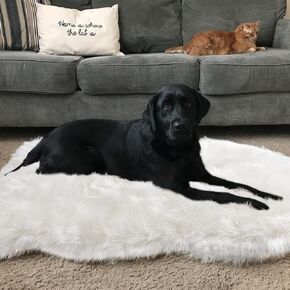 Soft Faux Fur Pet Bed Mat Plush and Fluffy Pet Pad Ultra Cozy Pet Throw Rug for Dogs Cats, Luxury Soft Faux Sheepskin Chair Cover Seat Pad Shag Fur Area Rugs for Bedroom, Brown & White, 3ftx5ft