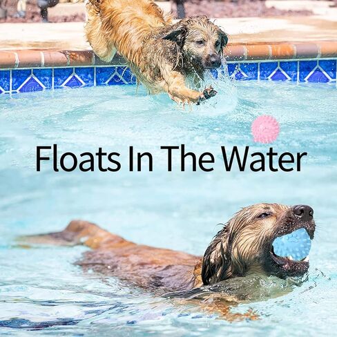 3 حزم من الكرات الشائكة للكلاب ألعاب الحيوانات الأليفة غير القابلة للتدمير، ألعاب مضغ مطاطية طبيعية عدوانية لتنظيف أسنان الكلاب للجرو الصغيرة والمتوسطة والكبيرة وتدريب الكلاب على لعب كرة المضغ (3 ألوان) in Kuwait