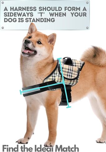 XXL Dog Harness -No Pull Reflective- Harness Dog Vest with Pockets- Beige Harness Adjustable Dog Harness (Beige, XXL) in Kuwait