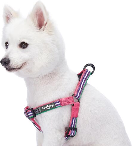 حزام للكلاب من Blueberry Pet بخمسة ألوان عاكسة للضوء وشريطية متعددة الألوان مقاس 3M، محيط الصدر 16.5 بوصة - 21.5 بوصة، وردي، زمردي وأوركيد، أحزمة صغيرة قابلة للتعديل للكلاب in Kuwait