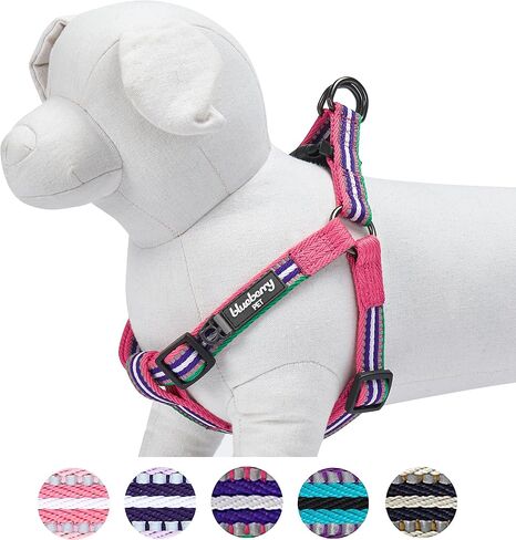 حزام للكلاب من Blueberry Pet بخمسة ألوان عاكسة للضوء وشريطية متعددة الألوان مقاس 3M، محيط الصدر 16.5 بوصة - 21.5 بوصة، وردي، زمردي وأوركيد، أحزمة صغيرة قابلة للتعديل للكلاب in Kuwait