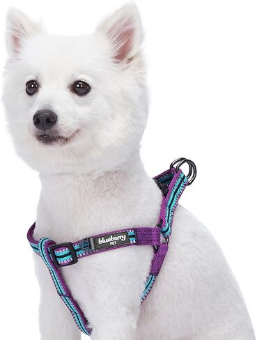 حزام للكلاب من Blueberry Pet بخمسة ألوان عاكسة للضوء وشريطية متعددة الألوان مقاس 3M، محيط الصدر 16.5 بوصة - 21.5 بوصة، وردي، زمردي وأوركيد، أحزمة صغيرة قابلة للتعديل للكلاب in Kuwait