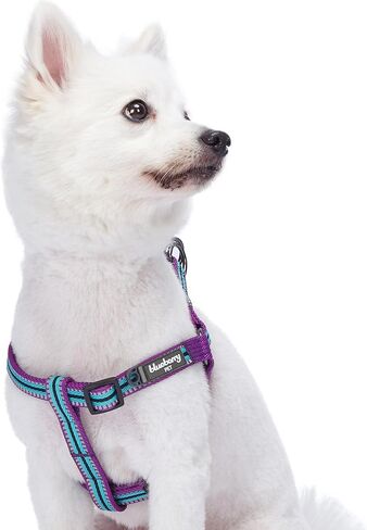 حزام للكلاب من Blueberry Pet بخمسة ألوان عاكسة للضوء وشريطية متعددة الألوان مقاس 3M، محيط الصدر 16.5 بوصة - 21.5 بوصة، وردي، زمردي وأوركيد، أحزمة صغيرة قابلة للتعديل للكلاب in Kuwait