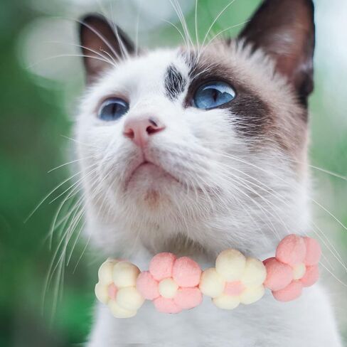 Mipcase Cat Collar, Plush Kitten Collar Cute Pom Pom Cat Collar for Kitten Cat Small Dog in Saudi Arabia