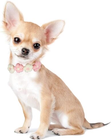 Mipcase Cat Collar, Plush Kitten Collar Cute Pom Pom Cat Collar for Kitten Cat Small Dog in Saudi Arabia