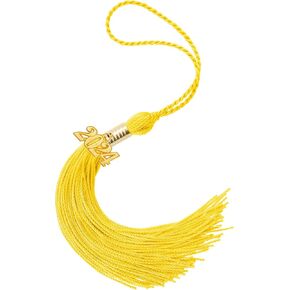 2024 Graduation Tassel 1PC, Graduation Cap Tassel Charm for 2024 Grads, 2024 Tassel with 2024 Year Gold Date Charms for Graduate Parties Ceremonies Souvenir, Graduation Hat Decoration 9'' Black