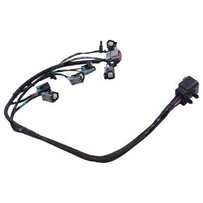 Engine Injector Harness 4868408AC Compatible with Chrysler Grand Voyager 2001-2002 Chrysler Town & Country 2001-2003 Chrysler Voyager Dodge Caravan Dodge Grand Caravan 2001-2003