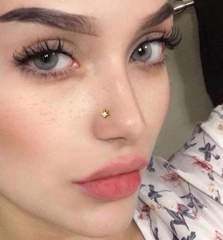 20G 12Pcs Nose Rings Stud Stainless Steel L Shaped Studs Nose Ring Flower CZ Evil Eye Butterfly Screw Nose Studs Jewelry for Women Men Silver 14K Gold Nose Stud Black Piercings Jewelry in Saudi Arabia