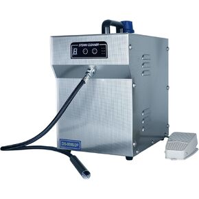 Jewelry Cleaner Machine for Silver & Gold Professional Steam Cleaner Machine 1200W 2L, Stainless Steel Jewelry Cleaner for Professional Tool Watch Glasses Retainer Denture Parts Cleaning