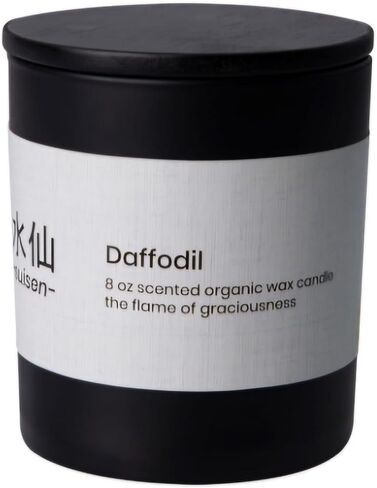 Kyoto Scented Candle 7oz - Daffodil in Saudi Arabia