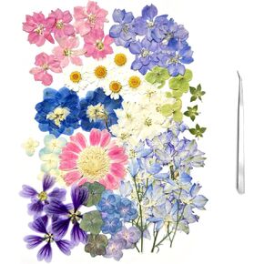 A4 Large Dried Pressed Flowers for Resin Real Dry Natural Flowers Leaves for Resin Mold Cake Candle Making Phone Cases Scrapbooking DIY Art Crafts (Fantasy Color)