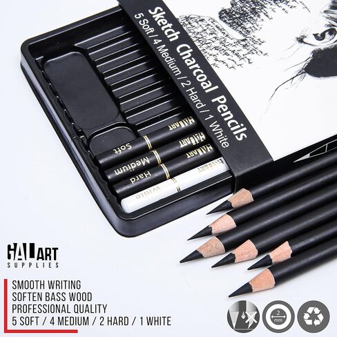 Charcoal Drawing Set with Organizer Tray – 12 Pieces Soft, Medium, Hard and White Charcoal Pencils for Drawing, Shading and Sketching for Artists and Beginners in Saudi Arabia