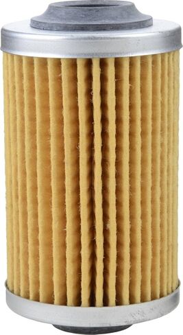Luber-finer Luberfiner P2129 Engine Oil Filter in Saudi Arabia