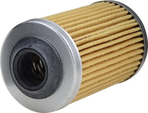 Luber-finer Luberfiner P2129 Engine Oil Filter in Saudi Arabia