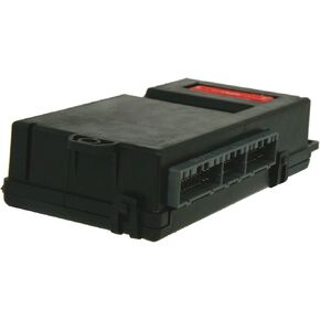 Cardone 73-3029 Remanufactured Body Control Computer Module, BCC/BCM/GEM (Renewed)