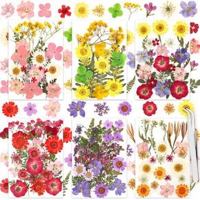 160 Pcs Dried Flowers Pressed Real Flowers for Resin, Dried Florals Natural Herbs Kit for Scrapbooking DIY Art Crafts, Jewelry Molds, Candle, Soap Making, Mother’s Day Birthday Gift