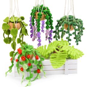 OEHPICC Needle Felting Kit, 5 Pack Hanging Plants Needle Felt Beginner Kit, Including Basic Needle Felting Tools, Instructions, Needle Felt Craft Kit for Indoor Outdoor Office and Home Decor