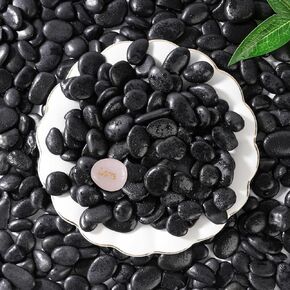 SIDONG 10 LB White River Rocks, 0.3-0.5 Inches Matte Pebbles for Indoor Plants, Aquarium Rocks Used in Fish Tank, Decorative Stones for Plants, Vases, Home Décor, Crafting, Garden Landscaping