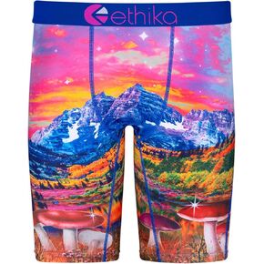 Ethika Mens Staple Boxer Brief | Magic Mushiez