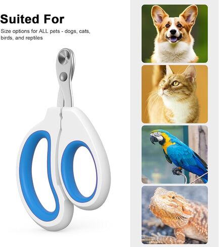 Cat Nail Clippers, Cat Claw Trimmers, Suitable for Small Animals Such as Cats, Birds, Hamsters, Rabbits, Hedgehogs, ferrets, Chinchillas, Guinea pigs，Etc, Professional Nail Trimmers for Small Animals. in Saudi Arabia