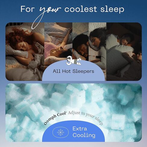 Coop Home Goods حشوة AC إضافية، رغوة الذاكرة المملوءة بالجل وحشوة بولي، كيس بوزن 1/2 رطل، إعادة ملء وسادة رغوة الذاكرة Eden، GREENGUARD Gold وCertiPUR-US معتمدة in Saudi Arabia