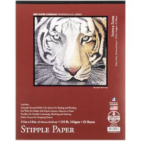 حزمة ورق Bee Paper Stipple/Coquille، مقاس 22 بوصة × 30 بوصة، 25 ورقة في كل عبوة in Kuwait