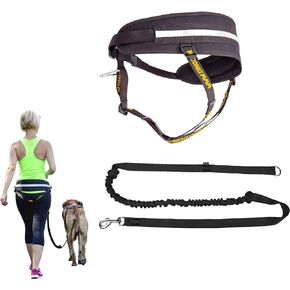 Dingo hands free leash belt for dog walking running hiking, training leash for large dog, bungee leash for medium dog, comfortable adjustable belt for walking with small dog, two snap hooks Z30005