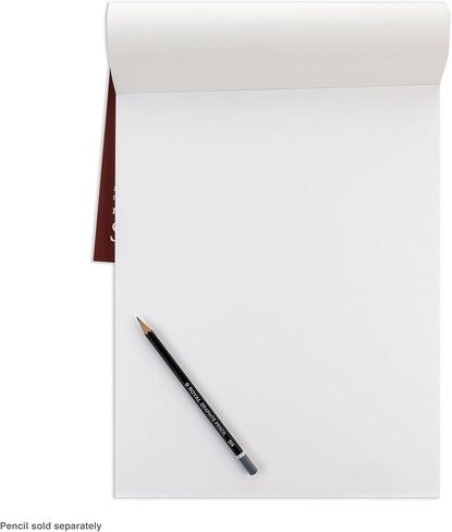 حزمة ورق Bee Paper Stipple/Coquille، مقاس 22 بوصة × 30 بوصة، 25 ورقة في كل عبوة in Kuwait