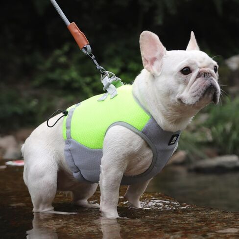 LAVAMOND Dog Cooling Vest, Lightweight Jacket for Small Medium Dogs with Evaporative Cool Technology, Reflective Design Breathable Mesh for Training Camping, Green, S in Saudi Arabia