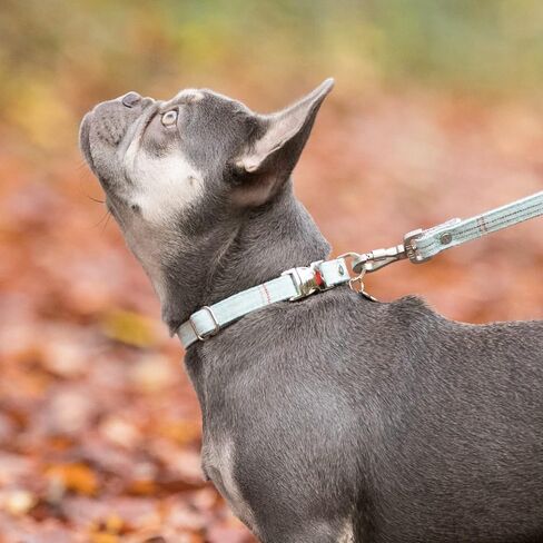 HUGO & HUDSON Tweed Dog Collar مشبك أمان معدني سريع التحرير، وردي متقلب، XS in Kuwait