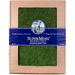 SuperMoss Preserved Sheet Lush Decorative Moss for Terrariums, Crafts, and Home Décor, Fresh Green 120 Cubic Inches