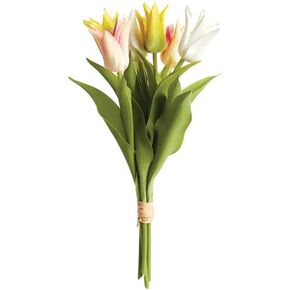 Napa Floral Collection-Lily-Flowered Tulip Stems , Bundle of 6
