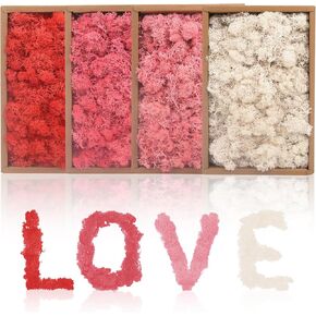 Preserved Moss Dried Reindeer Moss, 1.76 lb Multicolored Moss for Crafts Floral Moss for DIY Arts Wall Home Office Terrariums Wedding Centerpieces Decoration (Mixed Color 1)