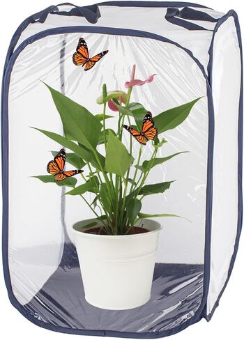 24" M Size Blue Butterfly Habitat Cage, Monarch Butterfly Habitat, Butterfly Cage for Caterpillars, Flying Insect Mesh Cage, Outdoor Observation Plant, Pop-Up Open Size: 16"x16"x24" in Kuwait