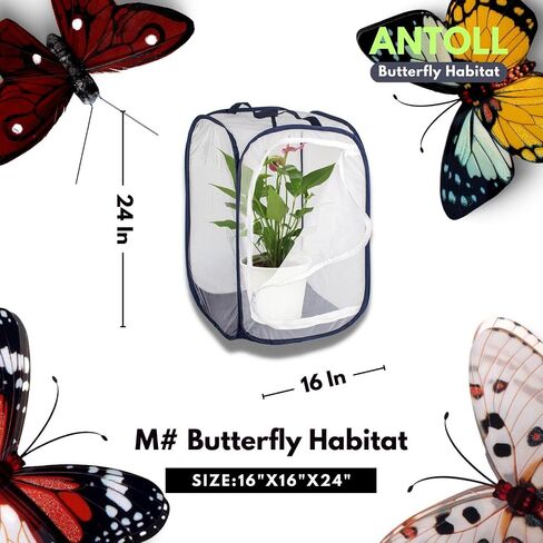 24" M Size Blue Butterfly Habitat Cage, Monarch Butterfly Habitat, Butterfly Cage for Caterpillars, Flying Insect Mesh Cage, Outdoor Observation Plant, Pop-Up Open Size: 16"x16"x24" in Kuwait