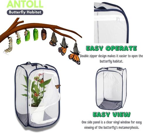 24" M Size Blue Butterfly Habitat Cage, Monarch Butterfly Habitat, Butterfly Cage for Caterpillars, Flying Insect Mesh Cage, Outdoor Observation Plant, Pop-Up Open Size: 16"x16"x24" in Kuwait