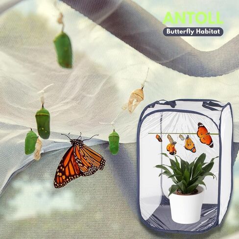 24" M Size Blue Butterfly Habitat Cage, Monarch Butterfly Habitat, Butterfly Cage for Caterpillars, Flying Insect Mesh Cage, Outdoor Observation Plant, Pop-Up Open Size: 16"x16"x24" in Kuwait