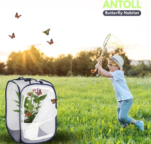 24" M Size Blue Butterfly Habitat Cage, Monarch Butterfly Habitat, Butterfly Cage for Caterpillars, Flying Insect Mesh Cage, Outdoor Observation Plant, Pop-Up Open Size: 16"x16"x24" in Kuwait