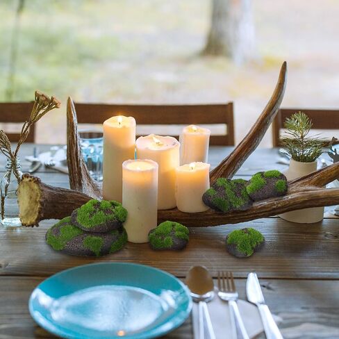 SNAIL GARDEN Moss Rock، 14 قطعة 4 أحجام من الأحجار المغطاة بالطحالب الخضراء، صخور الطحالب الاصطناعية، صخور الطحالب المزخرفة الرغوية، صخور الطحالب المزيفة المزخرفة لحفلات الزفاف، ديكور أوعية الزهور والحديقة، زهور مجففة DIY in Kuwait